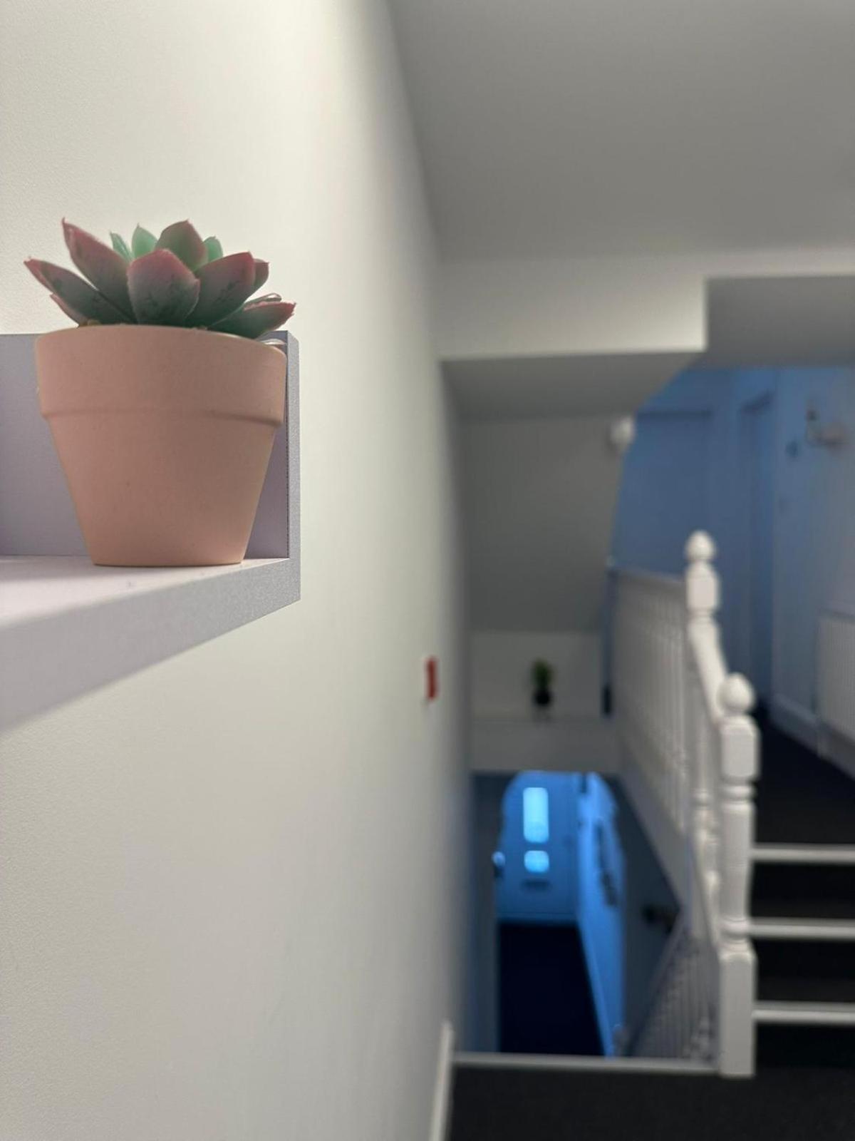 Cambridge Central Rooms - Tas Accommodations المظهر الخارجي الصورة